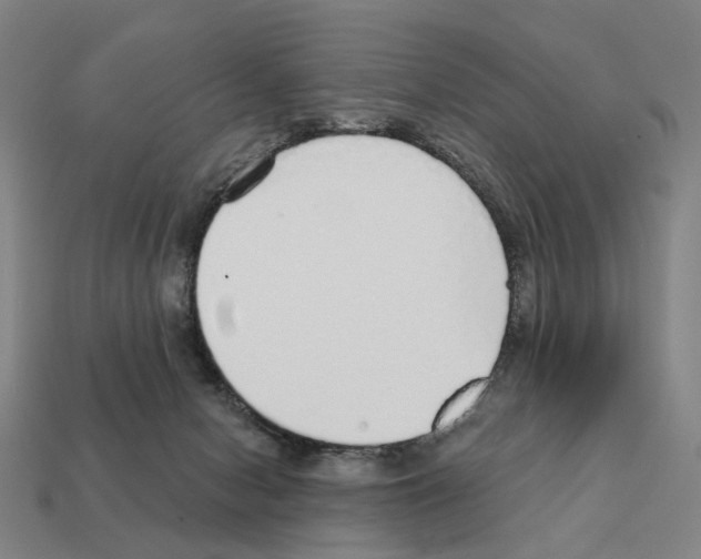 X0000111930078200909071247