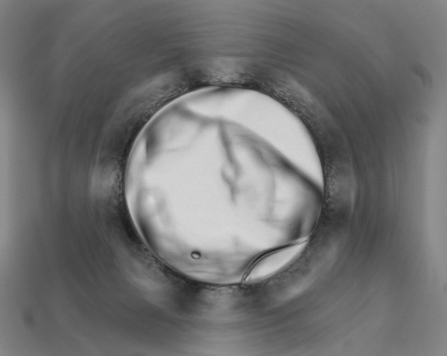 X0000111930079200909071247