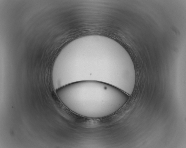 X0000111930080200909071247