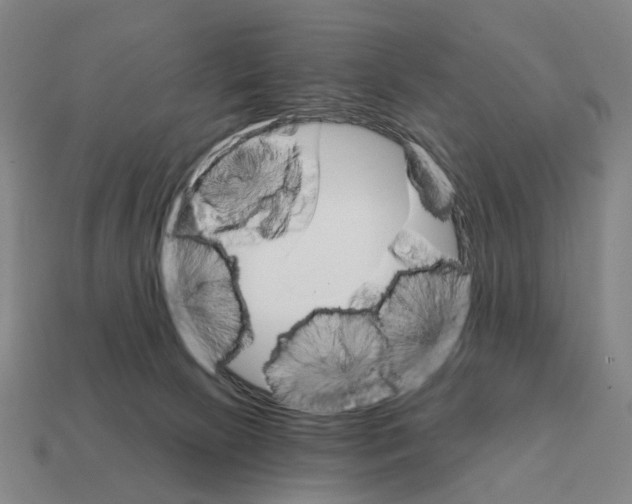 X0000111930081200909071247