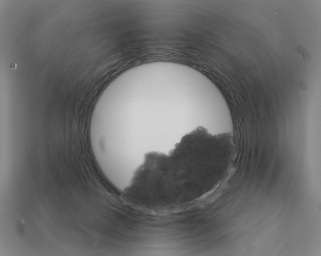 X0000111930082200909071247