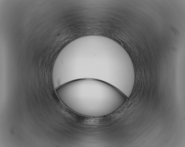 X0000111930084200909071247