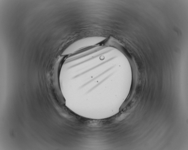 X0000111930088200909071247