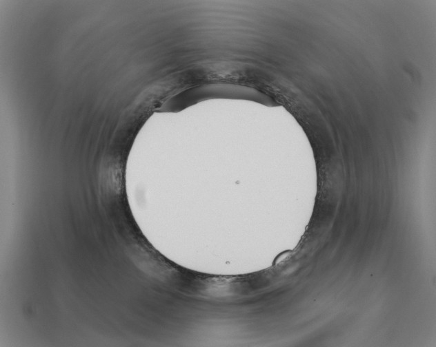 X0000111930090200909071247