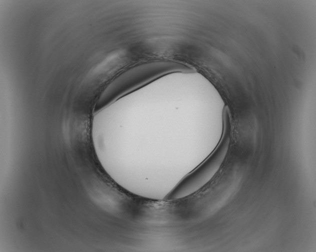 X0000111930092200909071247