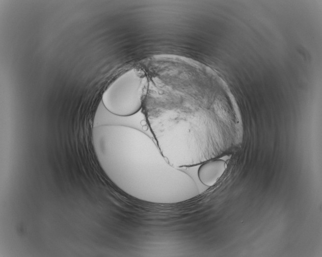 X0000111930093200909071247