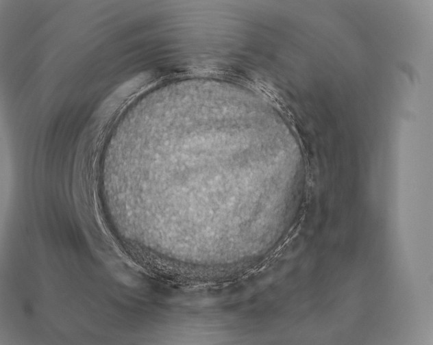 X0000111930097200909071247