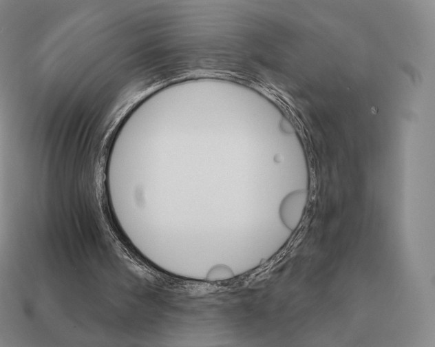 X0000111930098200909071247