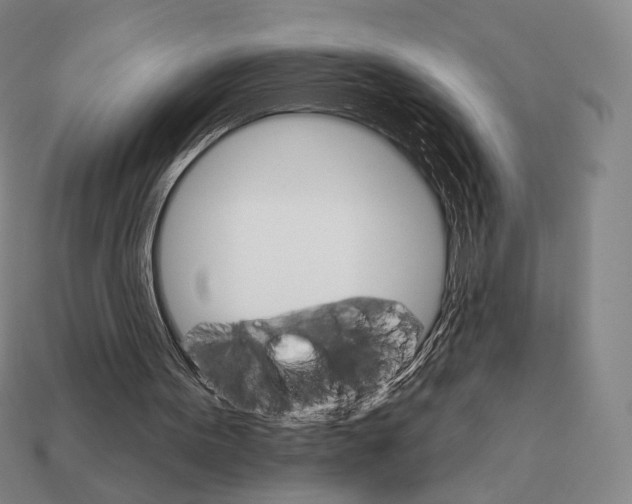 X0000111930099200909071247