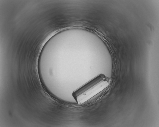 X0000111930100200909071247