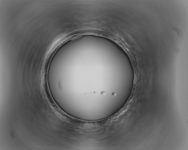 X0000111930101200909071247