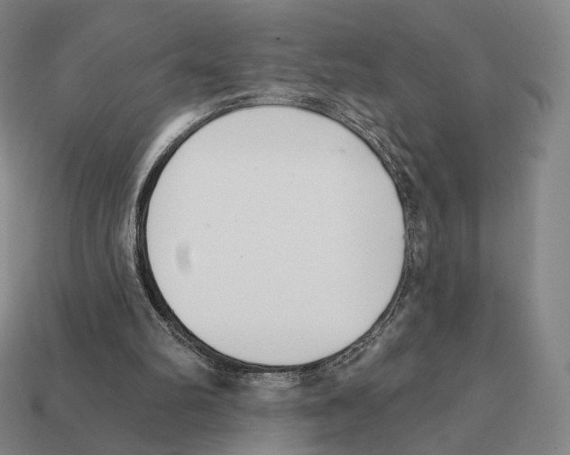 X0000111930102200909071246