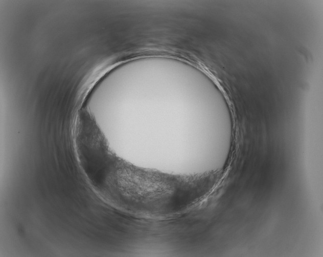 X0000111930103200909071246