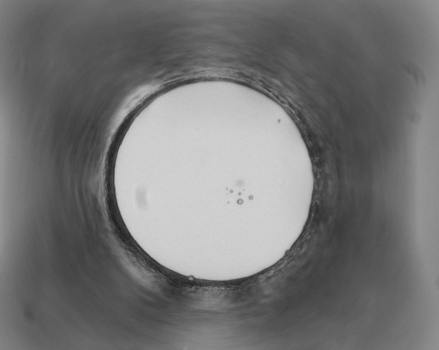 X0000111930104200909071246