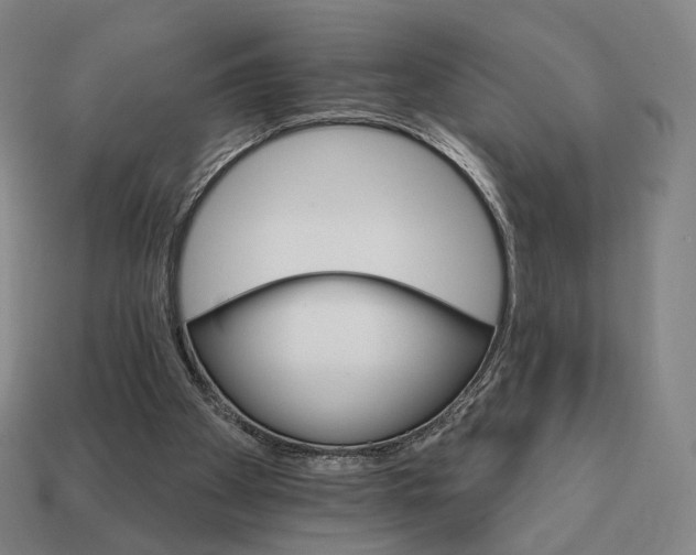 X0000111930105200909071246