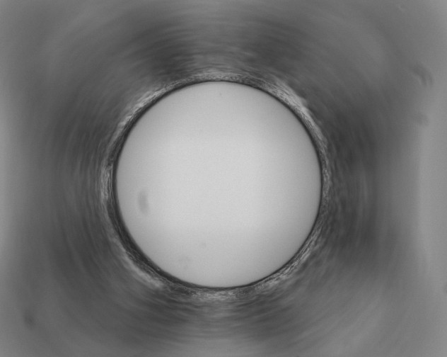 X0000111930106200909071246