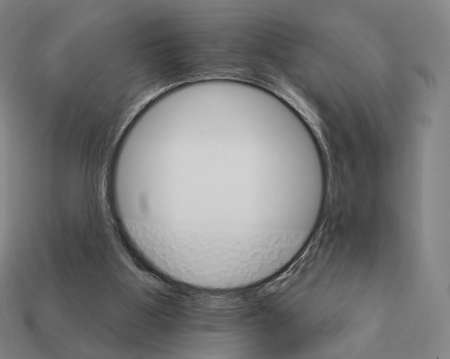 X0000111930107200909071246