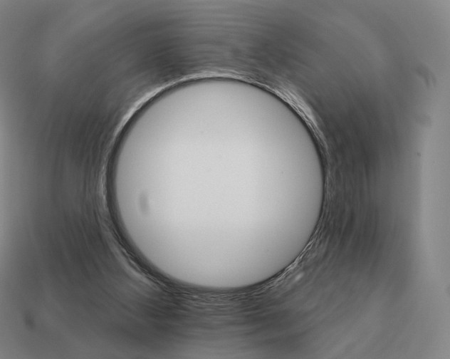 X0000111930108200909071246