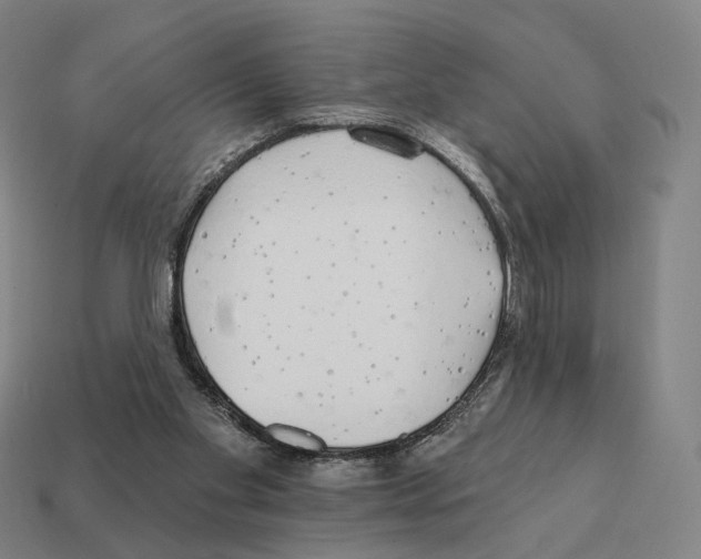 X0000111930109200909071246