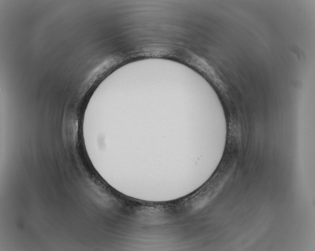 X0000111930110200909071246