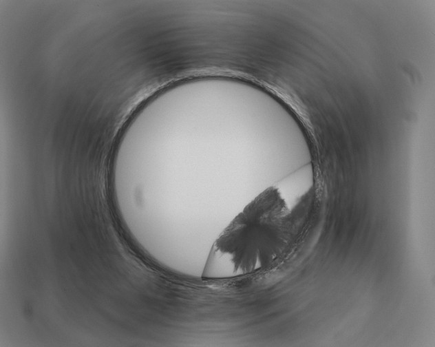 X0000111930111200909071246