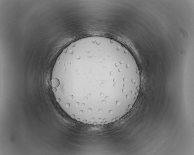 X0000111930114200909071246