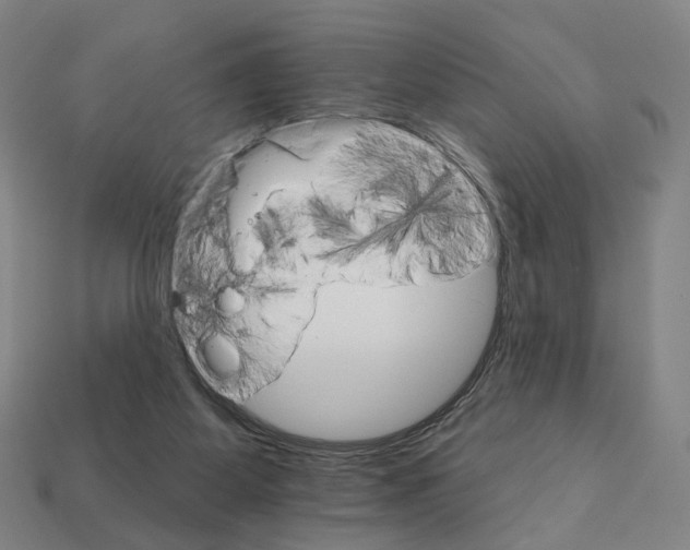 X0000111930115200909071246