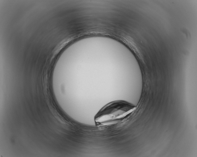 X0000111930116200909071246