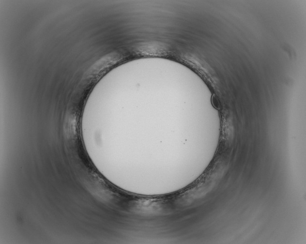 X0000111930117200909071246