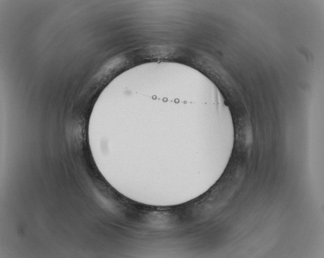 X0000111930119200909071246