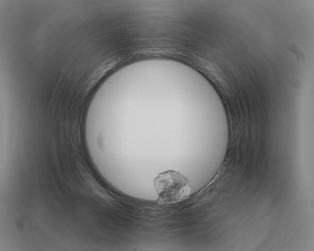 X0000111930120200909071246