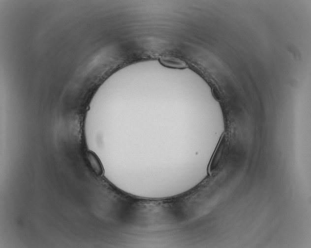 X0000111930121200909071246