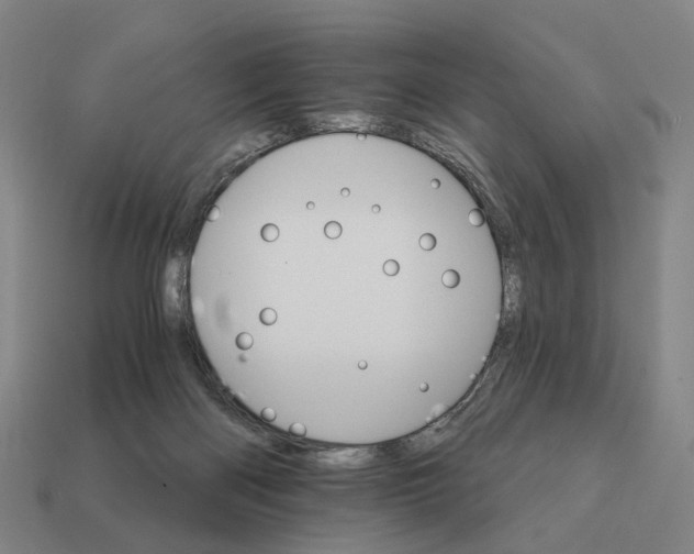 X0000111930122200909071246