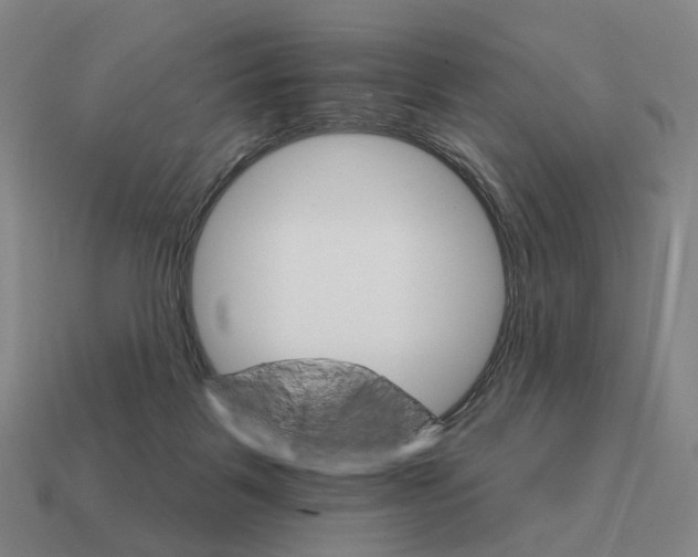 X0000111930123200909071246