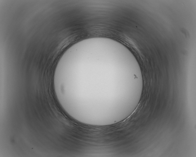 X0000111930124200909071246