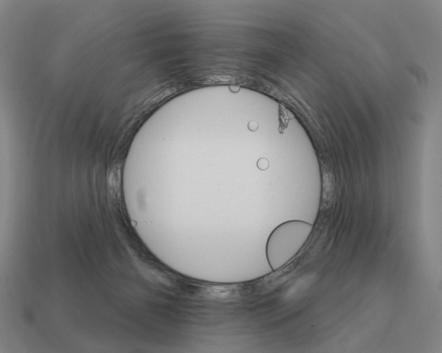 X0000111930126200909071246