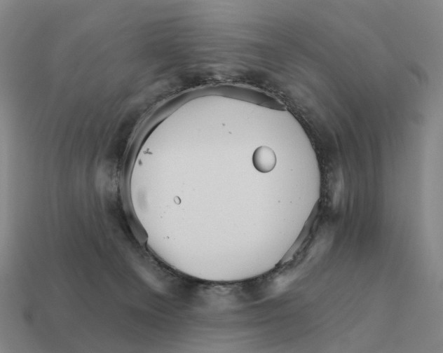 X0000111930129200909071246