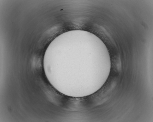 X0000111930131200909071246