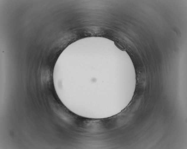 X0000111930132200909071246