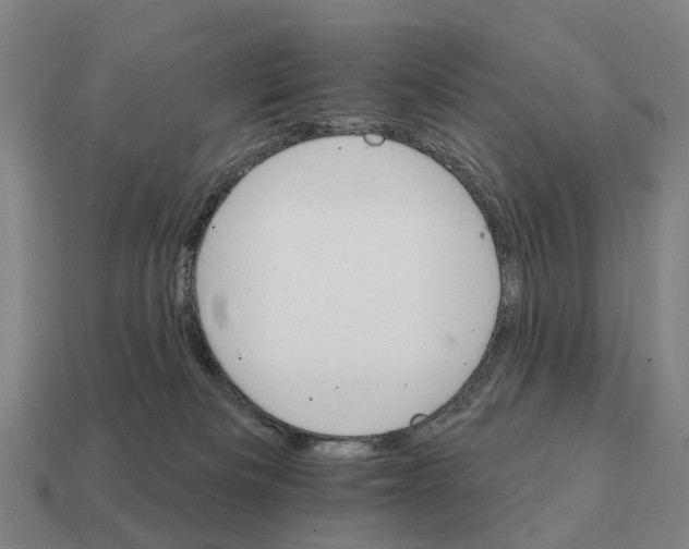 X0000111930133200909071246