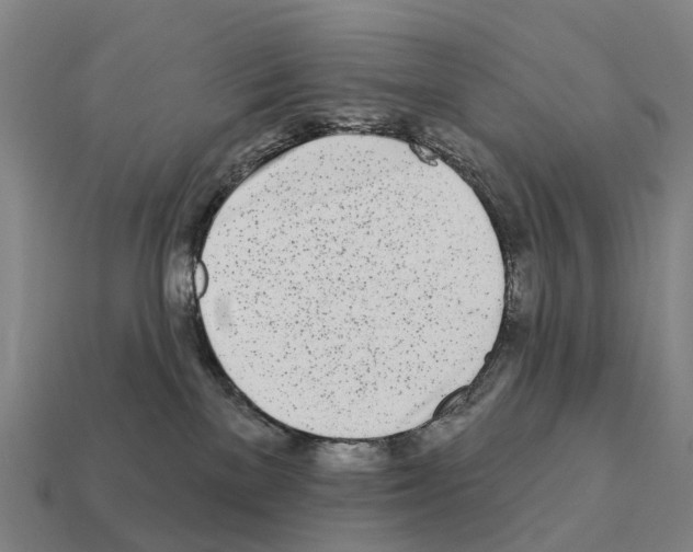 X0000111930137200909071246