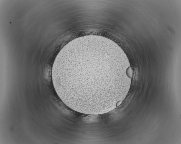 X0000111930138200909071246