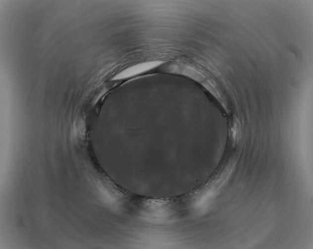 X0000111930139200909071246