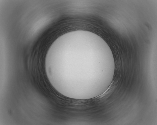 X0000111930140200909071246