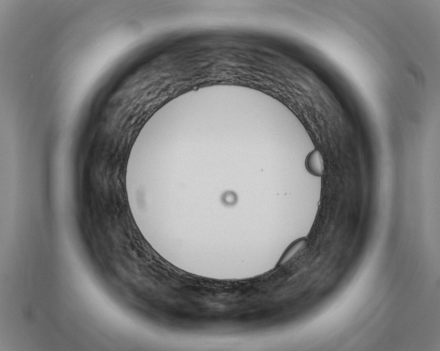 X0000111930142200909071246