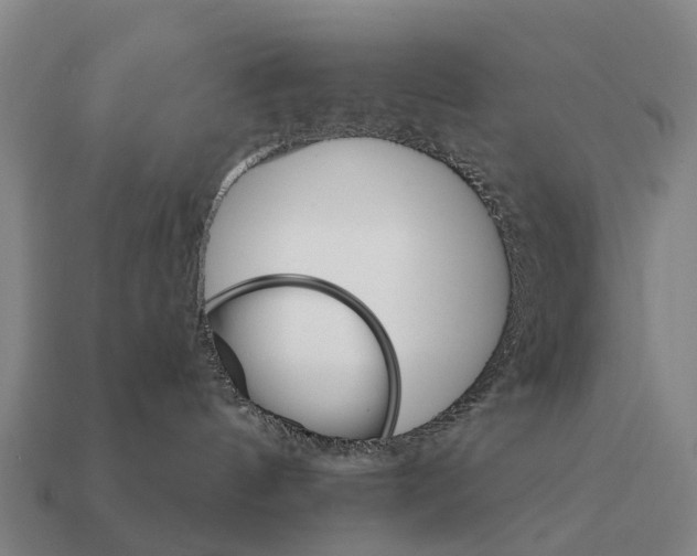 X0000111930144200909071246