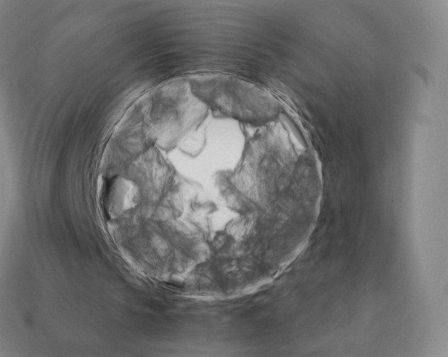 X0000111930145200909071245