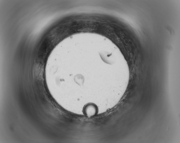 X0000111930146200909071245