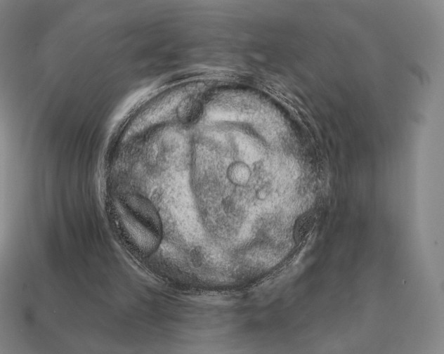 X0000111930149200909071245