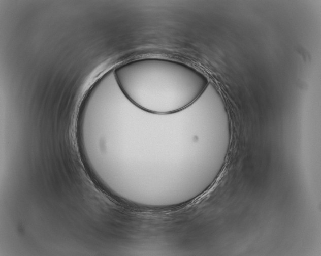 X0000111930150200909071245